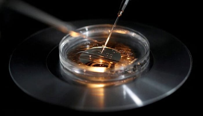 A medical lab technologist operates an embryo vitrification during an ICSI process at a laboratory in Paris, France, September 13, 2019. — Reuters